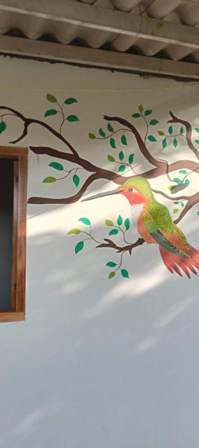Sierra Kay Hostel Guachaca 客房 照片