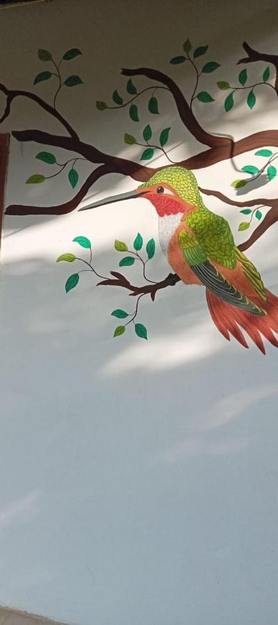 Sierra Kay Hostel Guachaca 外观 照片